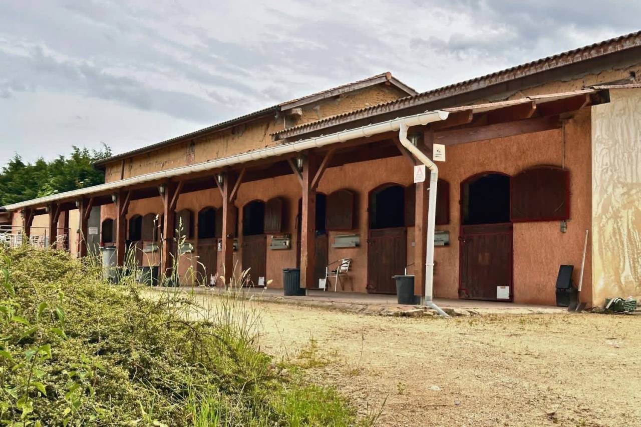 Proprietà equestre In vendita Ain