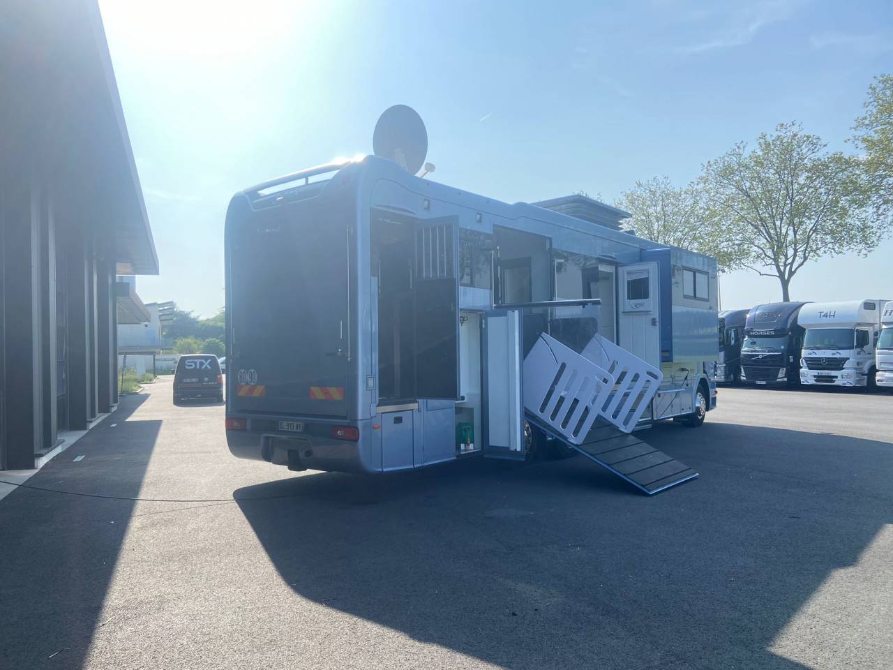 Camion per Cavalli Scania P 410 2017 Occasione