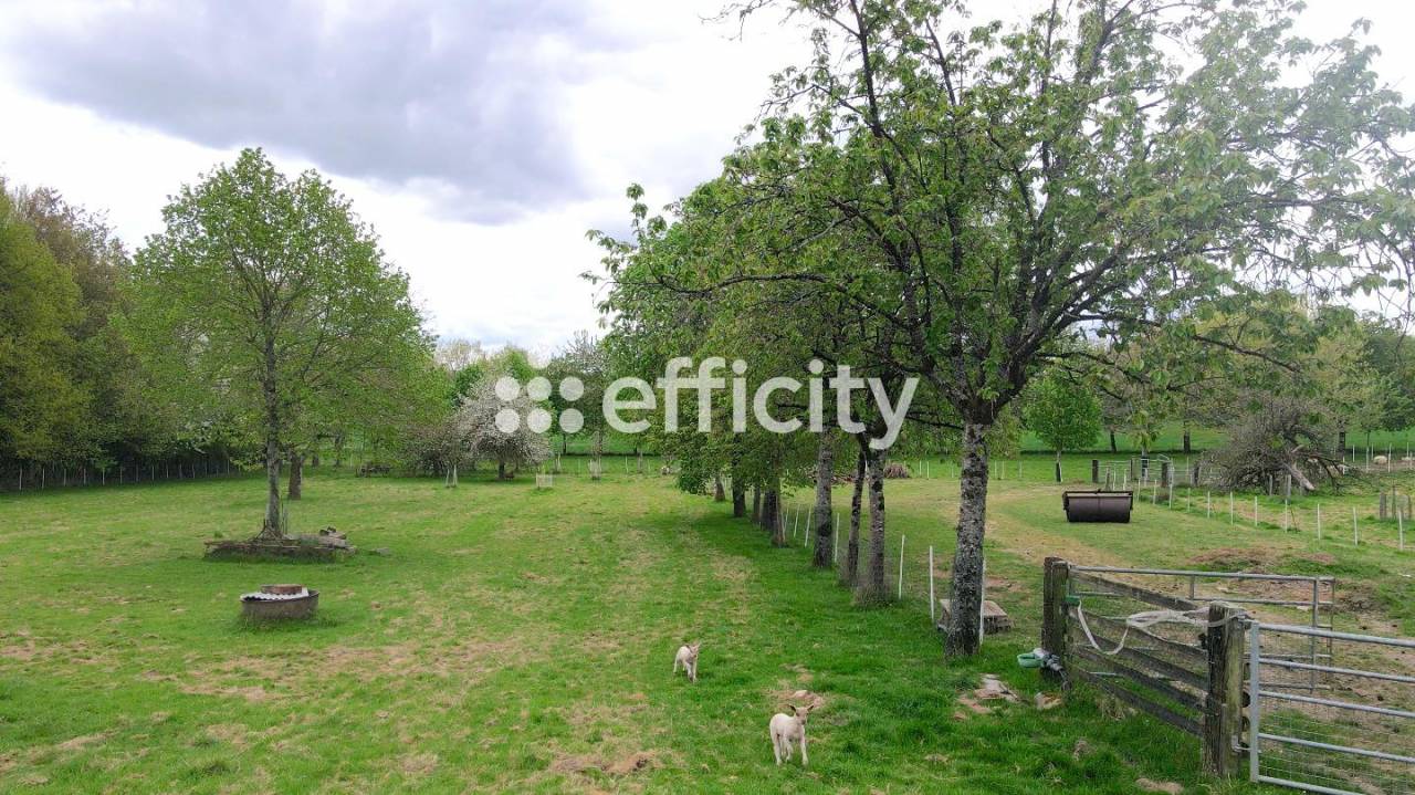 Bella dimora equestre In vendita Ile-et-Vilaine