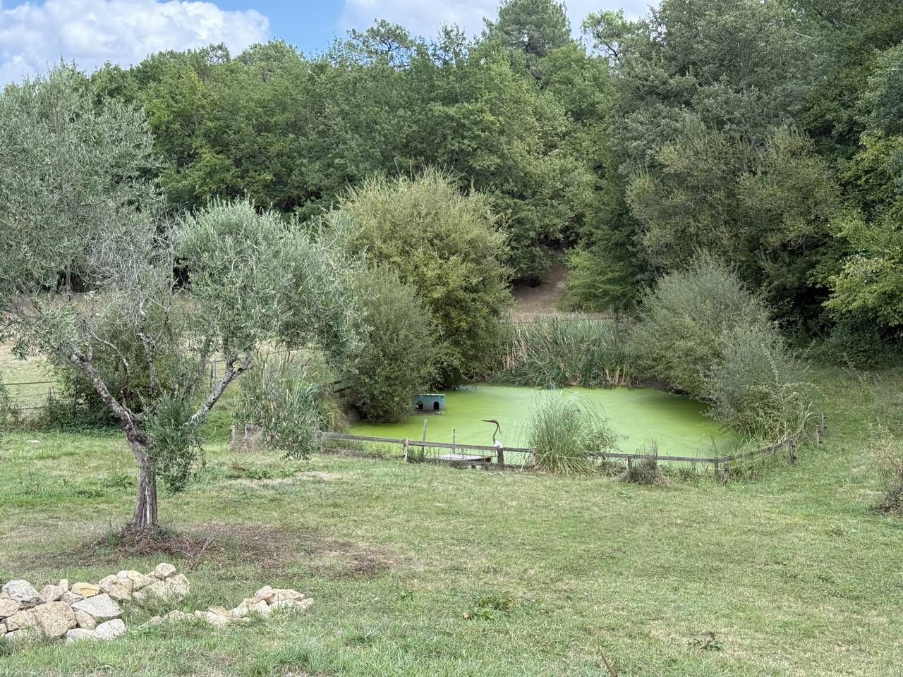 Proprietà equestre In vendita Gironde