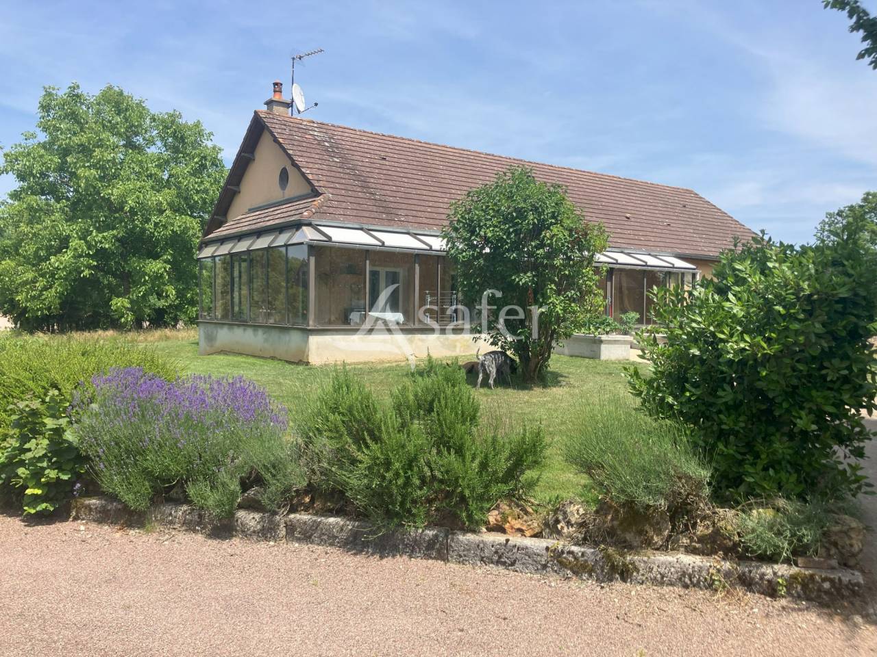 Proprietà rurale In vendita Yonne