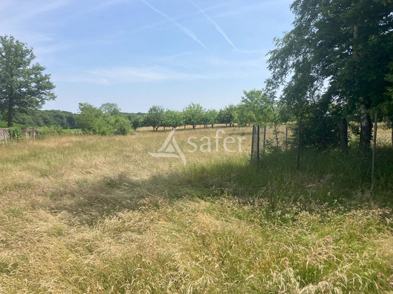 Proprietà rurale In vendita Yonne