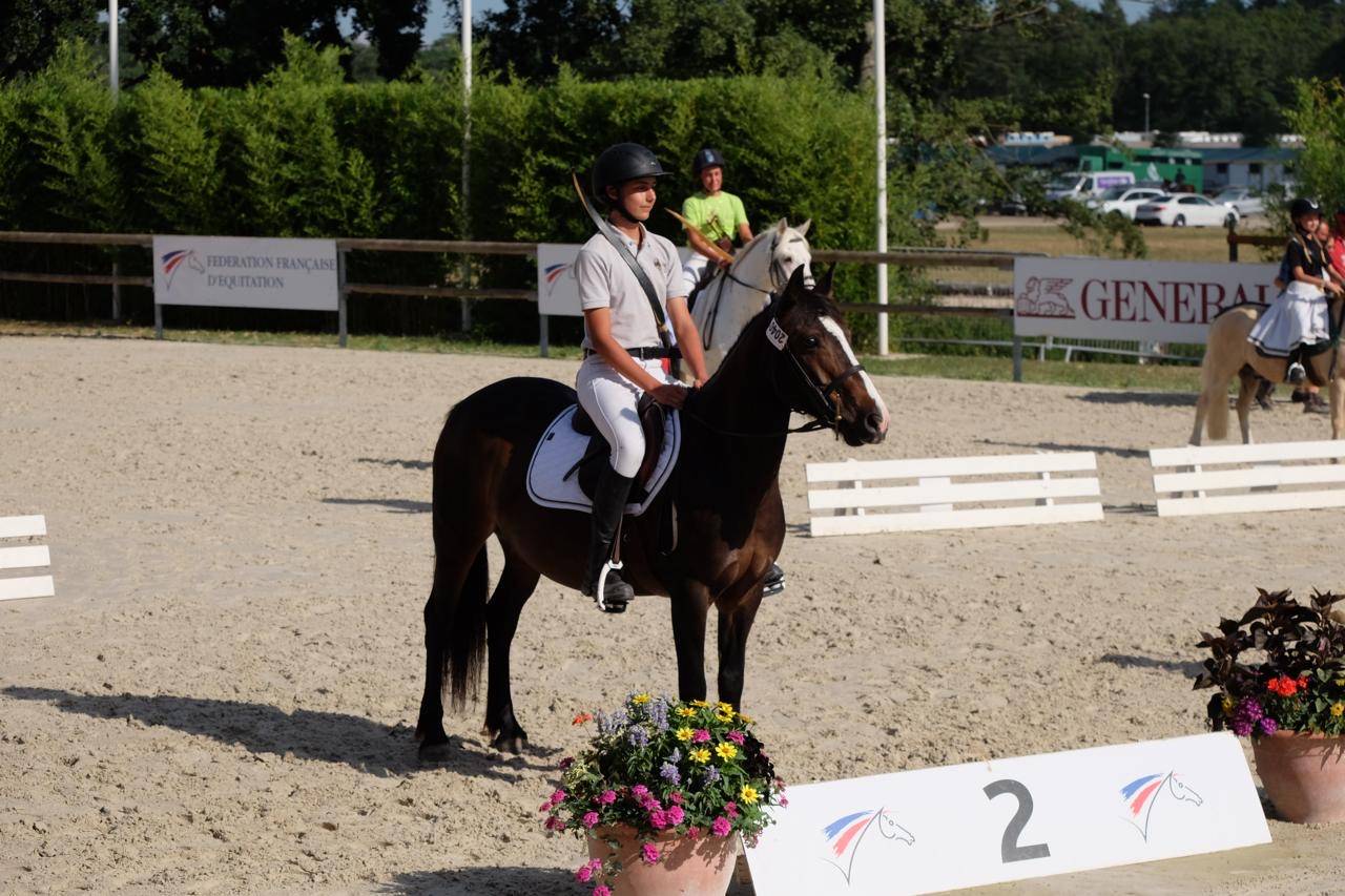 Cavalla Altre Razze di Pony In vendita 2013 Baio scuro