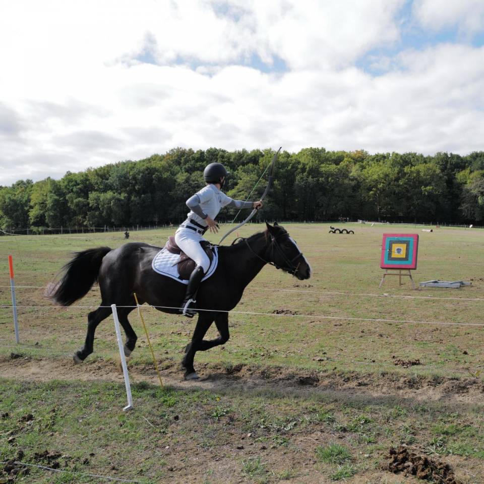 Cavalla Altre Razze di Pony In vendita 2013 Baio scuro