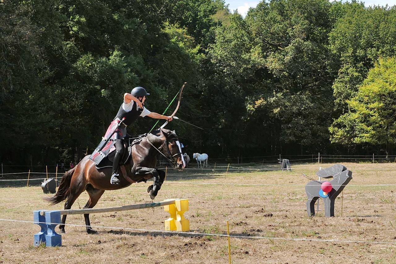 Cavalla Altre Razze di Pony In vendita 2013 Baio scuro