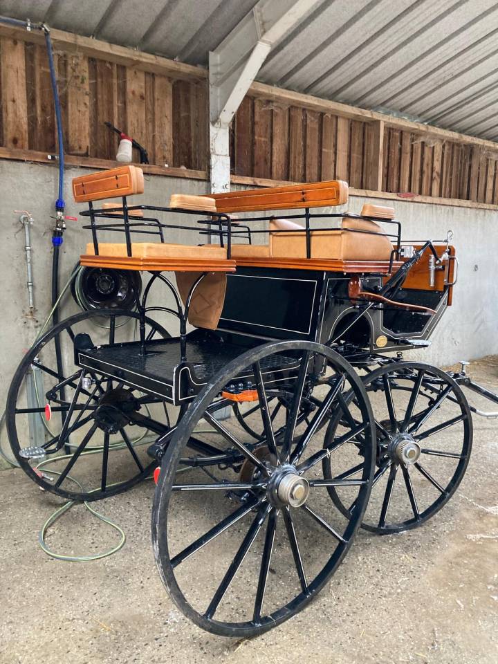 Attacchi - Spider - Altra marca - Spider 