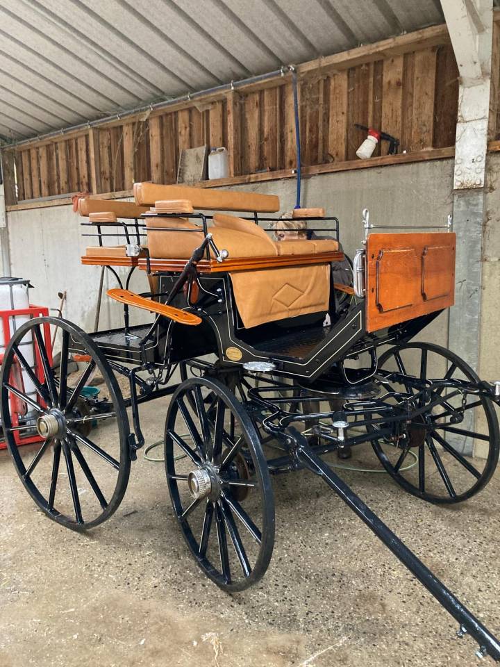 Attacchi - Spider - Altra marca - Spider 