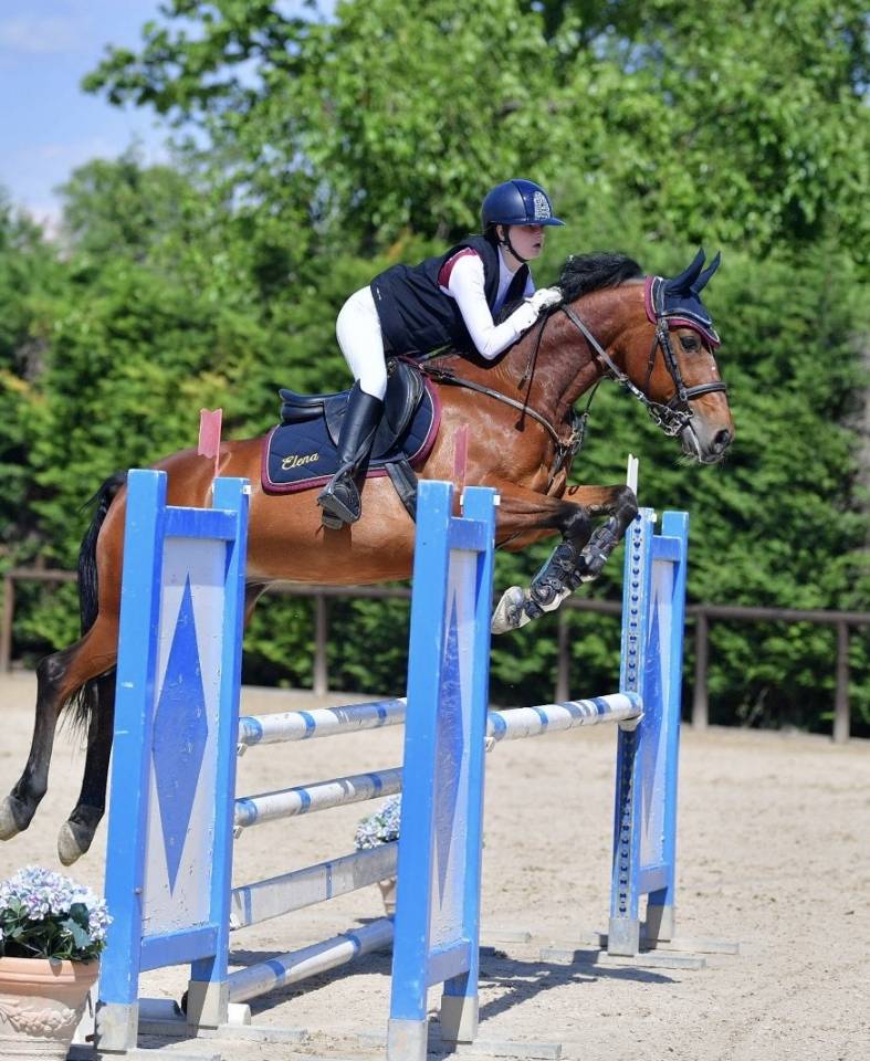 Pony sella francese DISPONIBILE