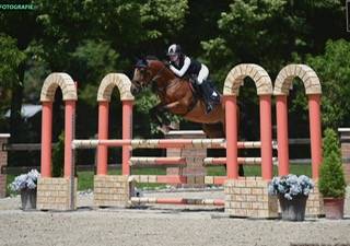 Pony sella francese DISPONIBILE