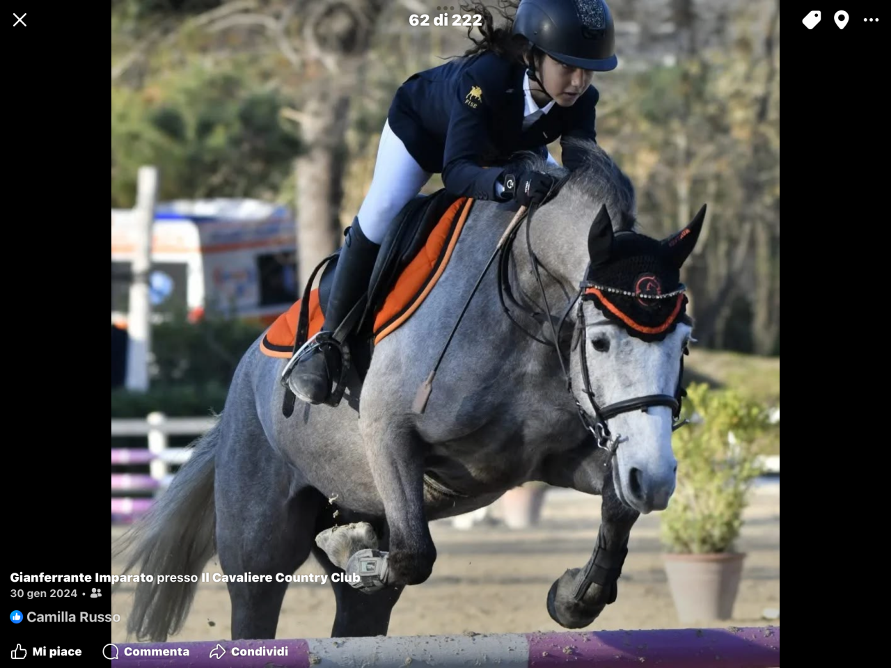 Noleggio pony irlandese 6anni