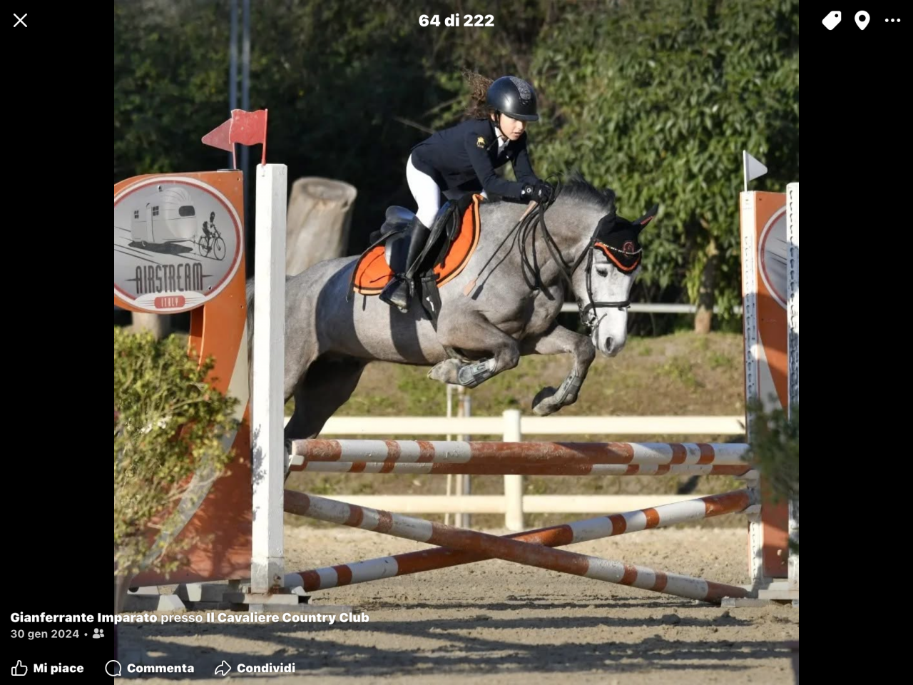 Noleggio pony irlandese 6anni