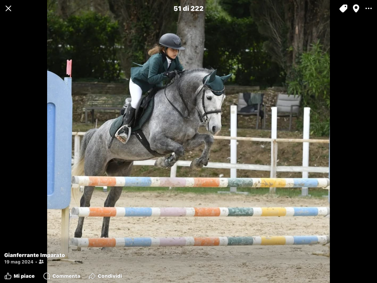 Noleggio pony irlandese 6anni