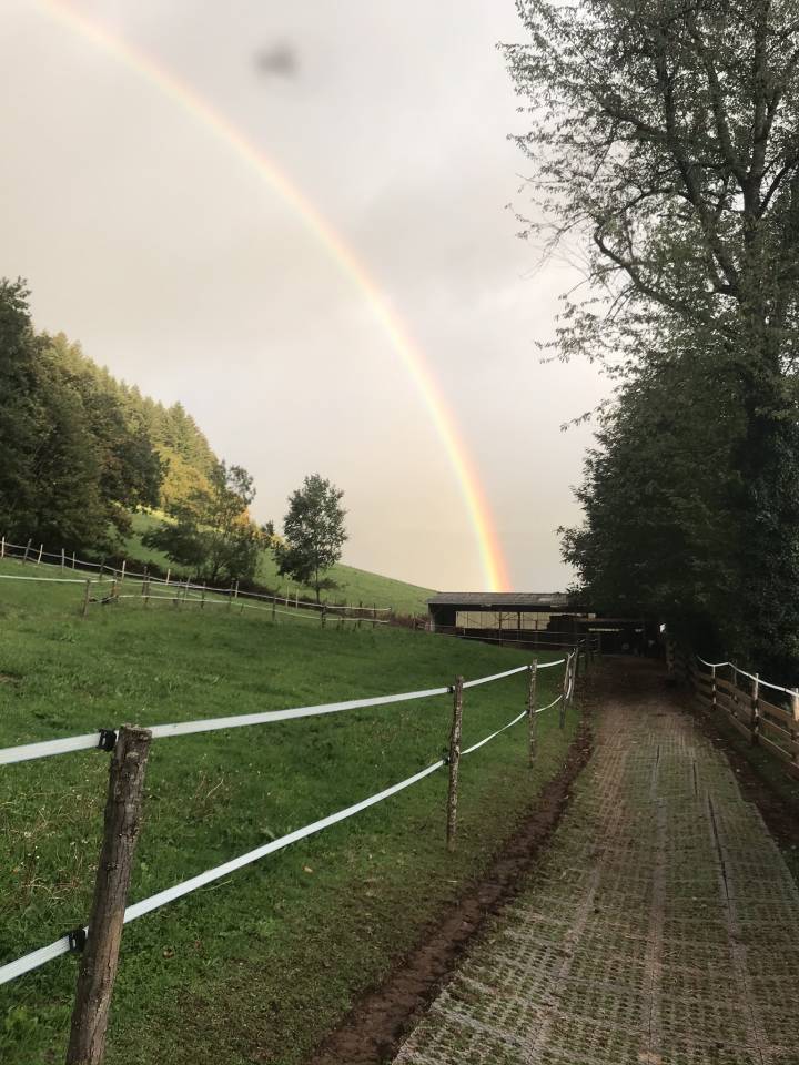 Bella dimora equestre In vendita Cantal