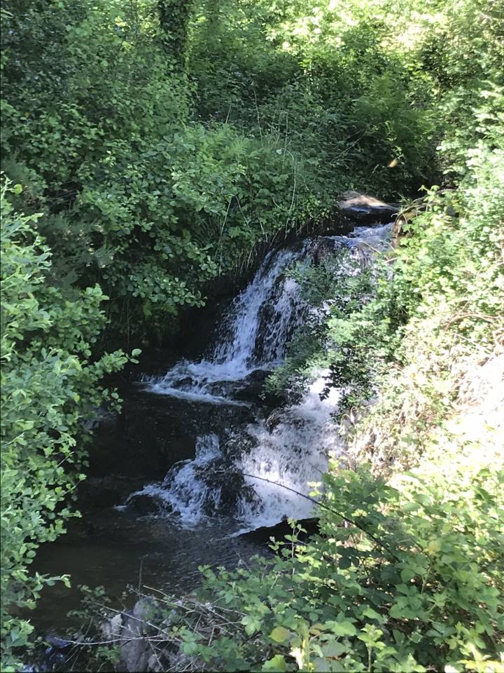 Bella dimora equestre In vendita Cantal