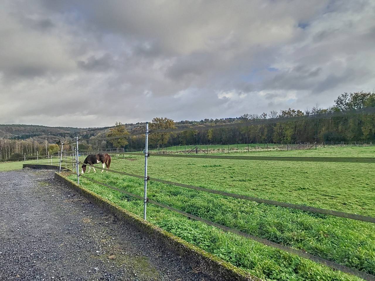 Centro ippico In vendita Liège