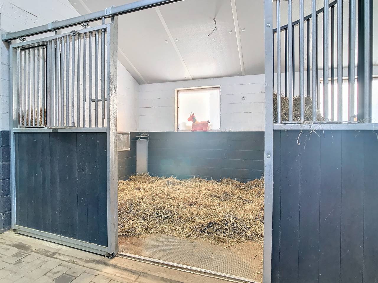 Centro ippico In vendita Liège