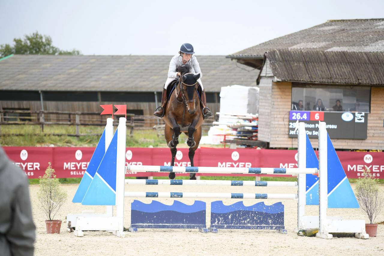 Cavalla Sella Francese In vendita 2019 Baio ,  BALOU STAR