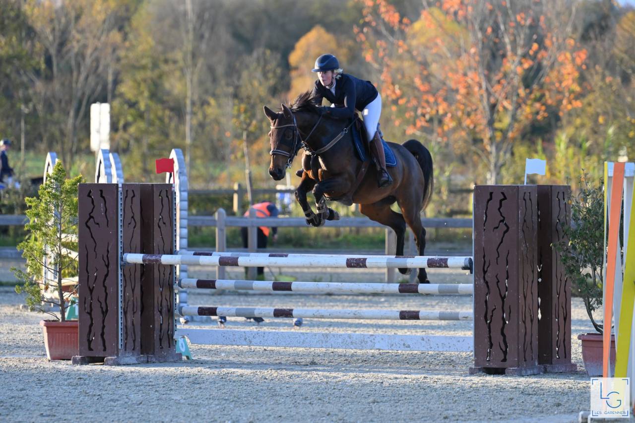 Cavalla Sella Francese In vendita 2019 Baio ,  BALOU STAR