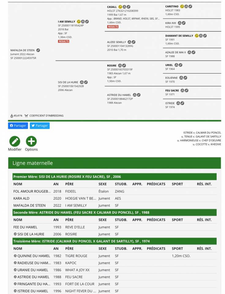 Cavalla Sella Francese In vendita 2022 Sauro ,  I Am Semilly