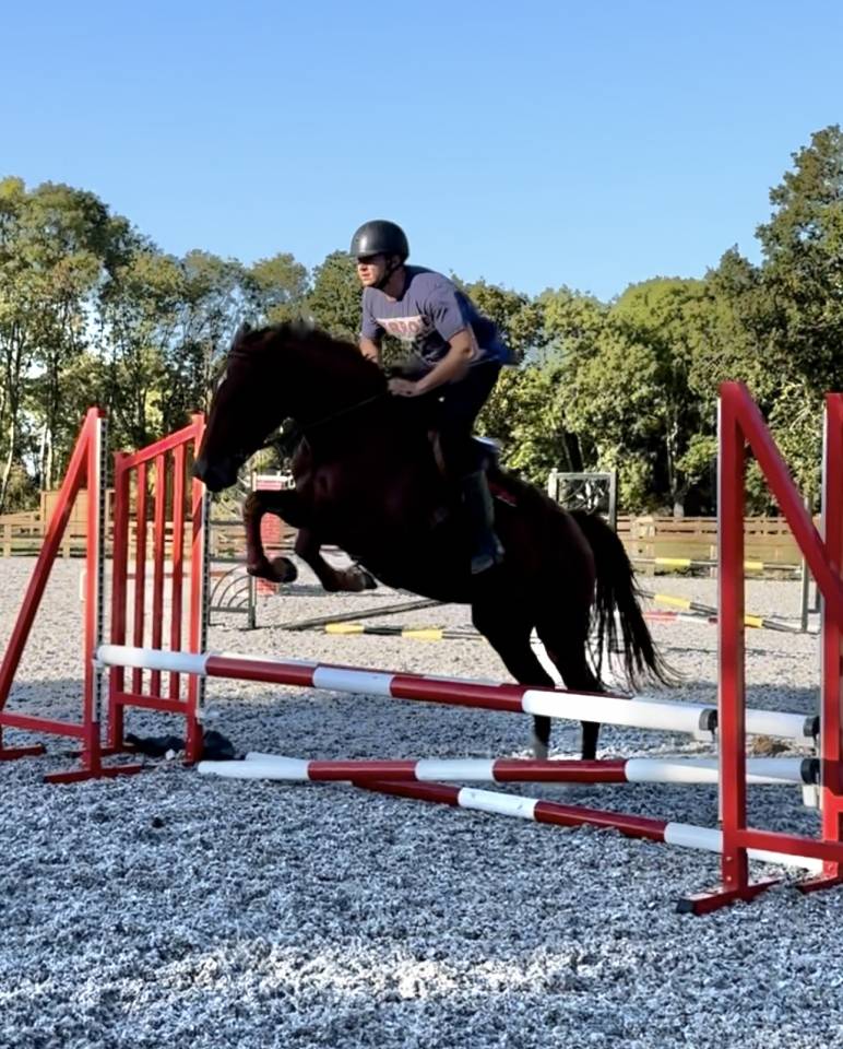 Cavalla Sella Francese In vendita 2022 Sauro ,  I Am Semilly