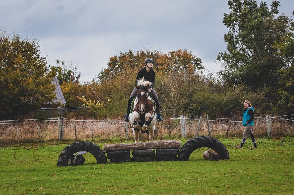 Scuderia per proprietari Noleggio Orne