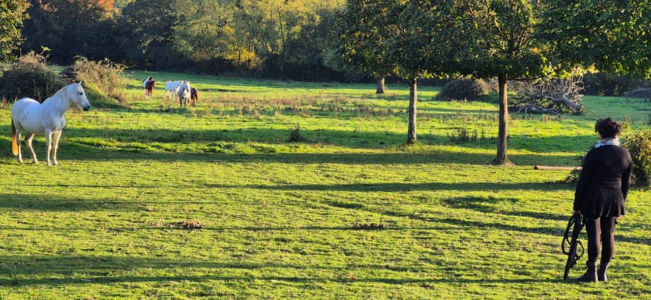 Scuderia per proprietari Noleggio Orne