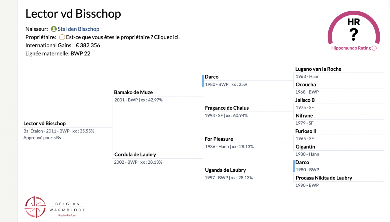 Cavalla BWP Cavallo da Sangue Belgio In vendita 2009 Baio ,  QUALITY