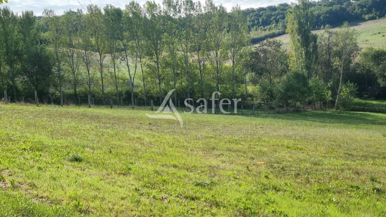 Azienda agricola In vendita Gers