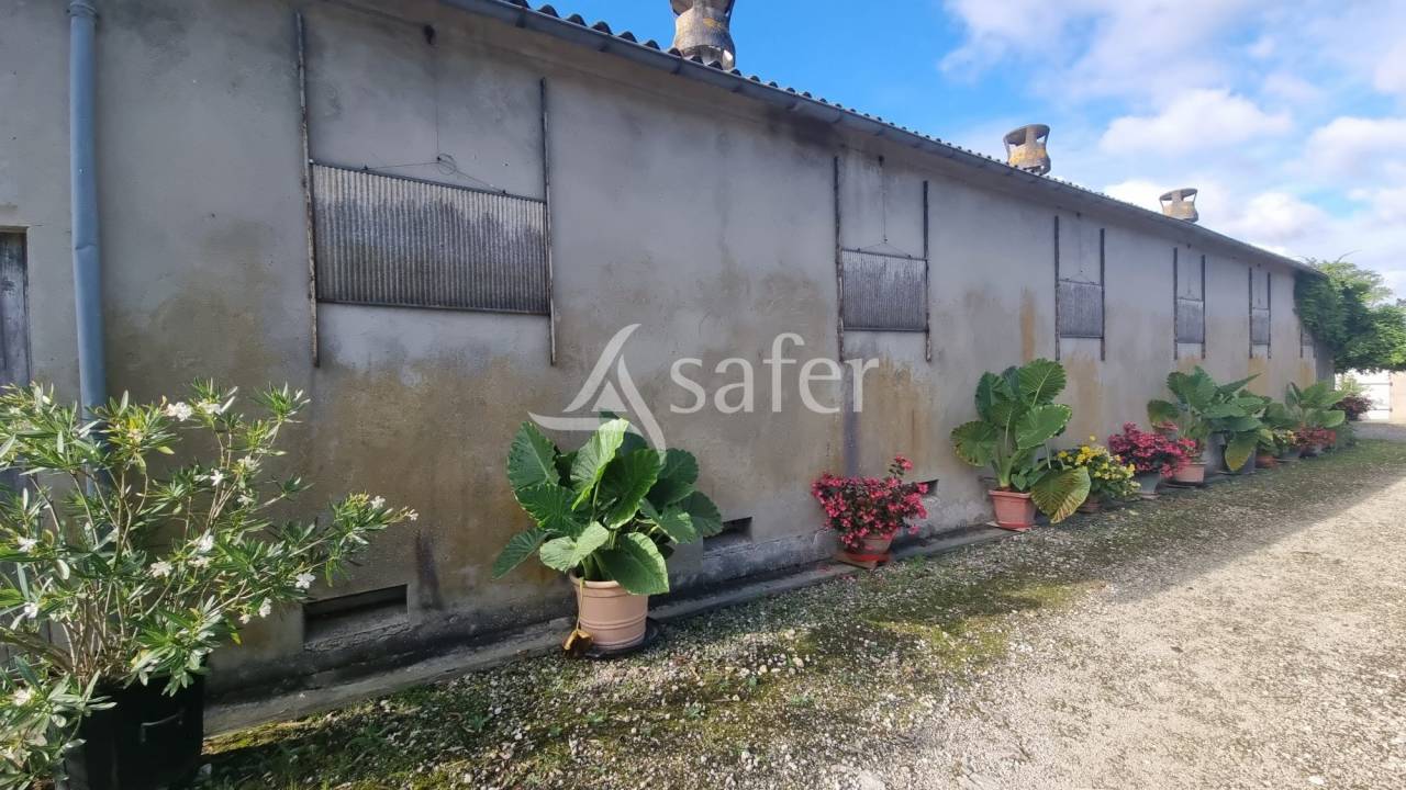 Azienda agricola In vendita Gers
