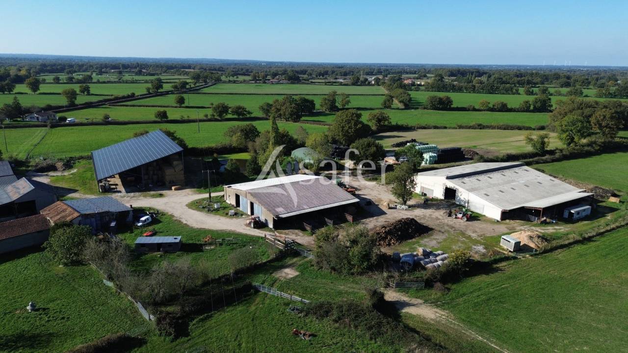 Azienda forestale In vendita Deux-Sèvres