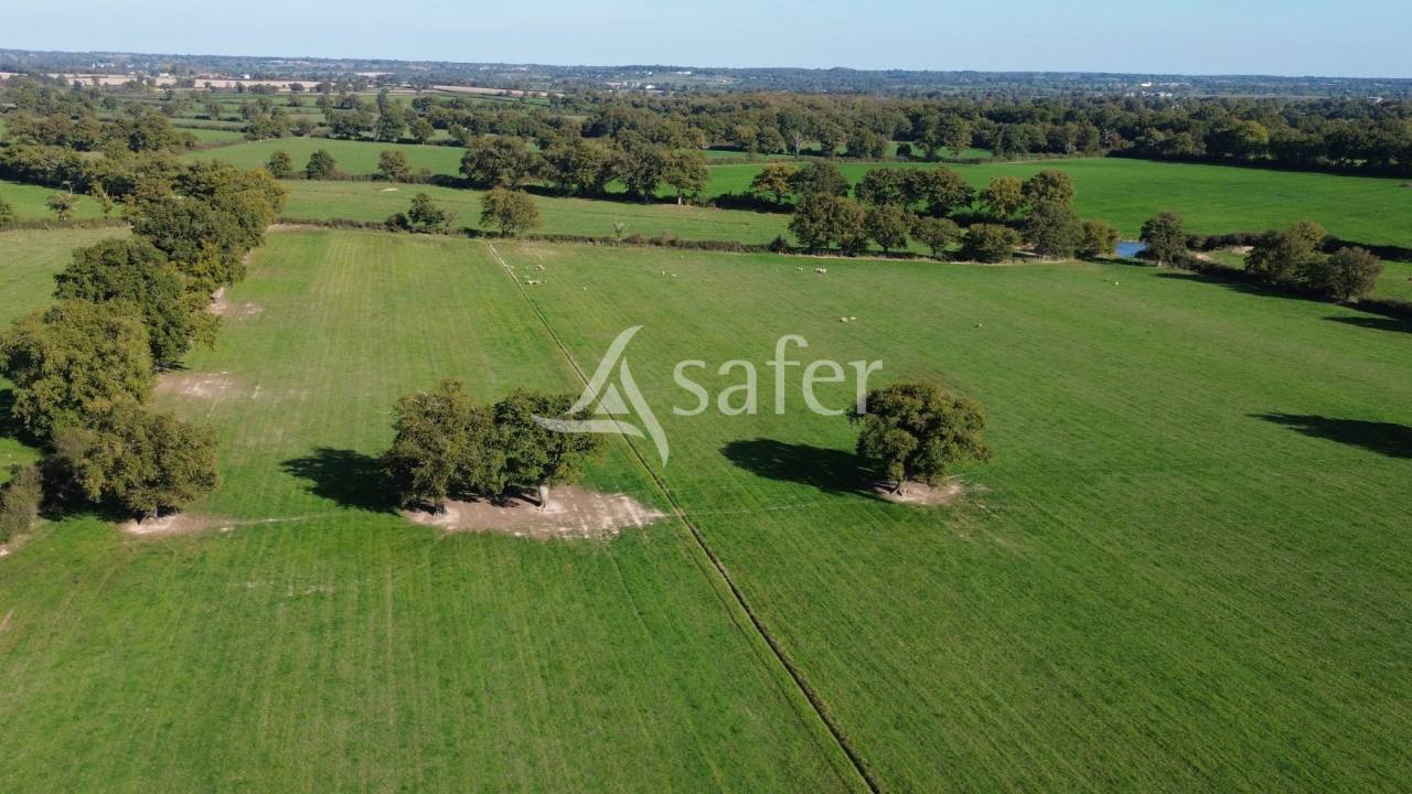 Azienda forestale In vendita Deux-Sèvres