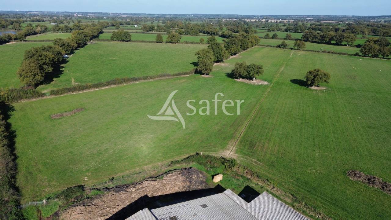 Azienda forestale In vendita Deux-Sèvres