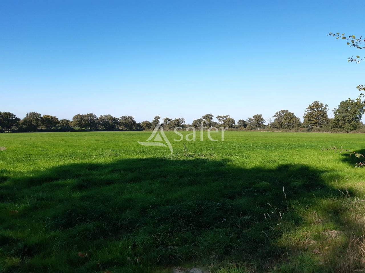 Azienda forestale In vendita Deux-Sèvres