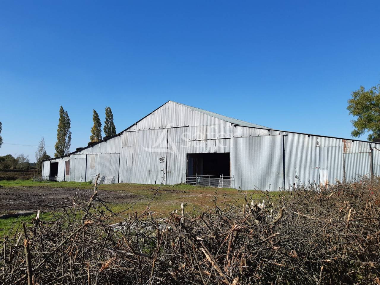 Azienda forestale In vendita Deux-Sèvres