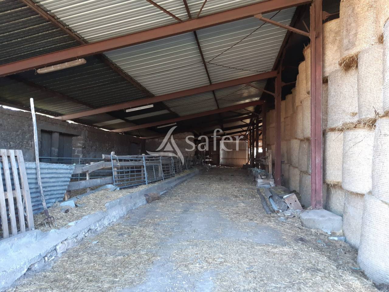 Azienda forestale In vendita Deux-Sèvres