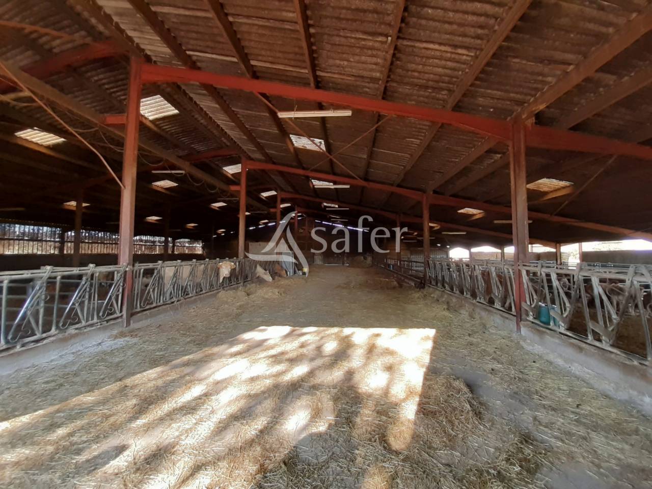 Azienda forestale In vendita Deux-Sèvres