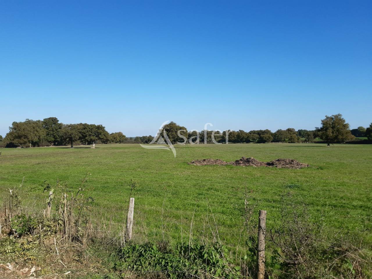 Azienda forestale In vendita Deux-Sèvres