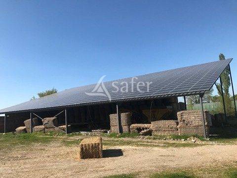 Azienda forestale In vendita Deux-Sèvres