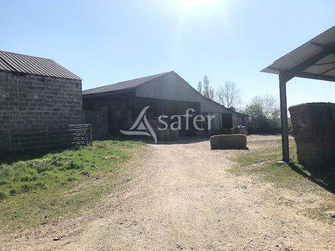 Azienda forestale In vendita Deux-Sèvres