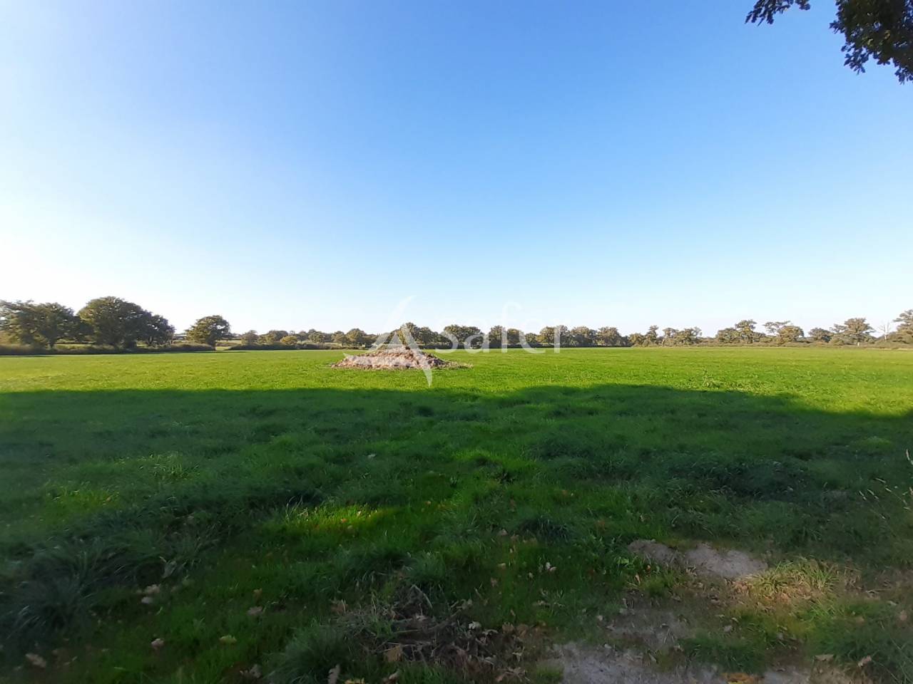 Azienda forestale In vendita Deux-Sèvres