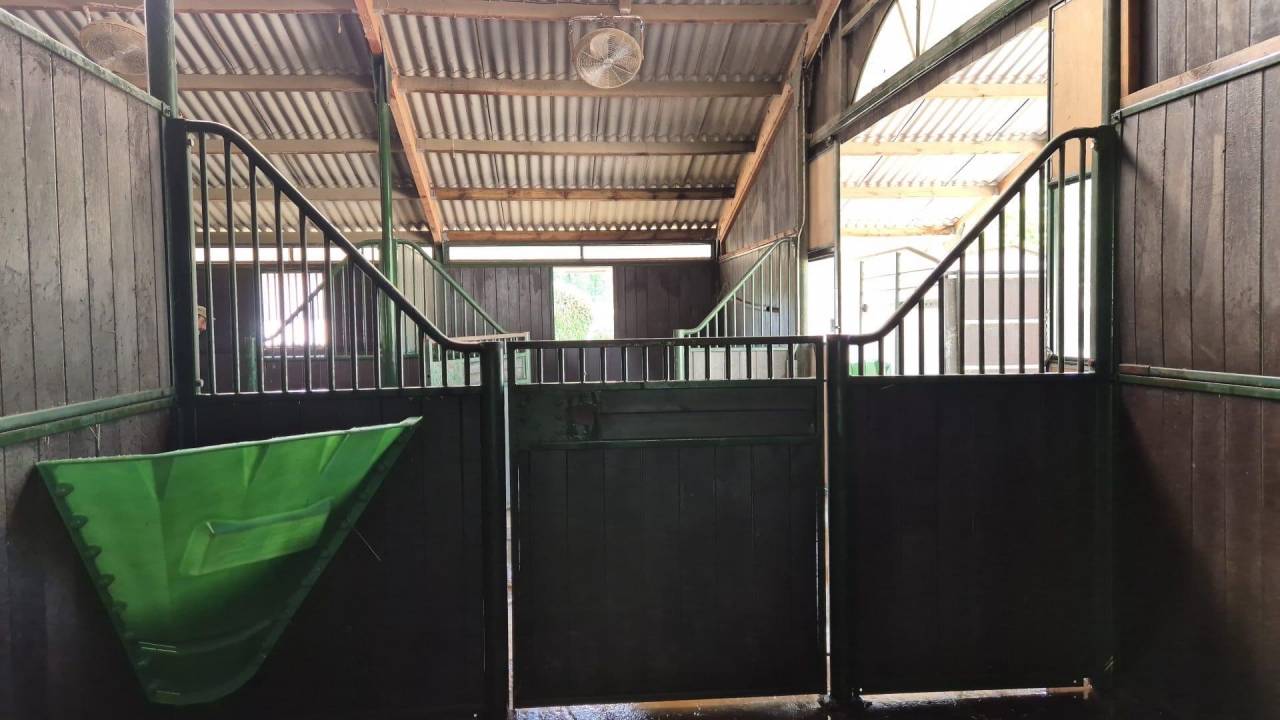 Scuderia per proprietari In vendita Tarn-et-Garonne