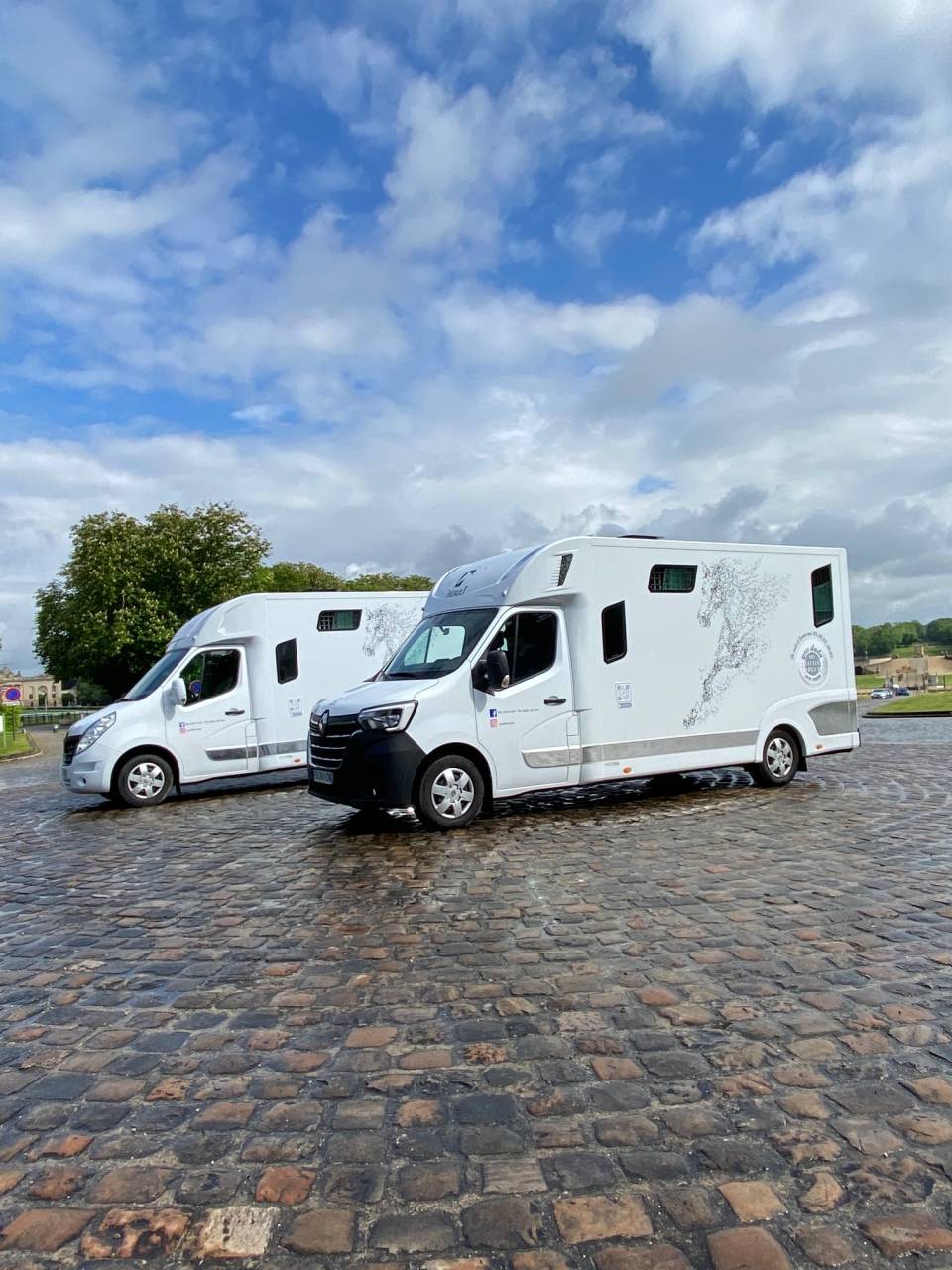 Van per Cavalli Theault Proteo 2020 Occasione