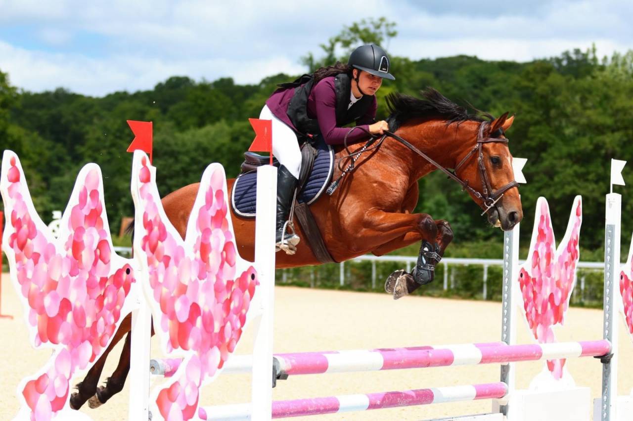 Cavalla Sella Francese In vendita 2019 Baio ,  Bandro Boy