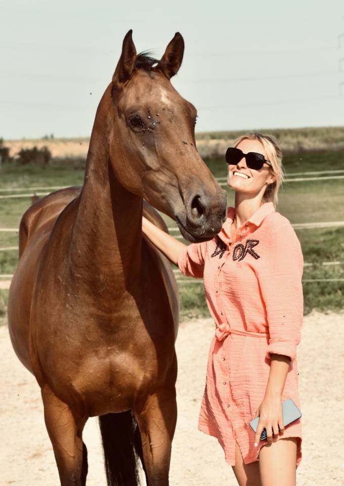 Cavalla BWP Cavallo da Sangue Belgio In vendita 2021 Baio