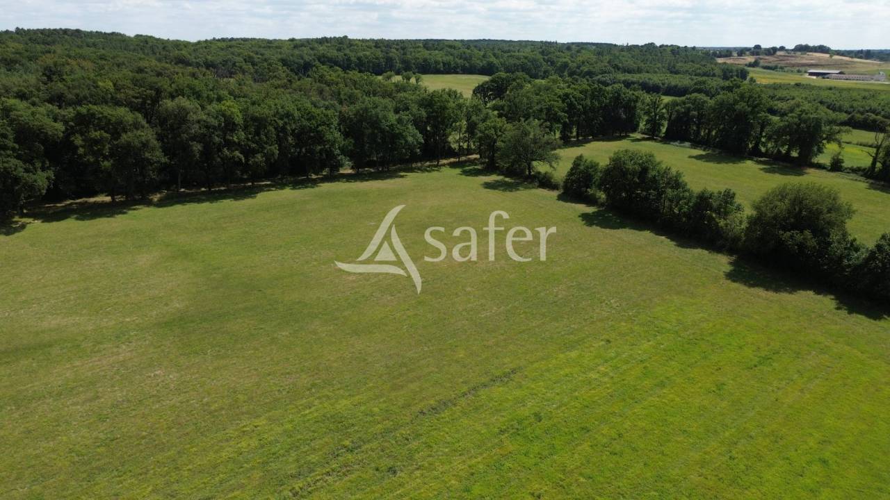 Azienda agricola In vendita Vienne