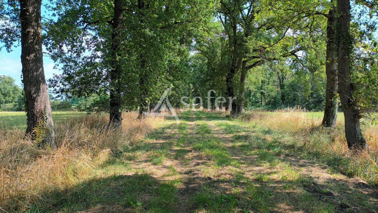 Azienda agricola In vendita Vienne