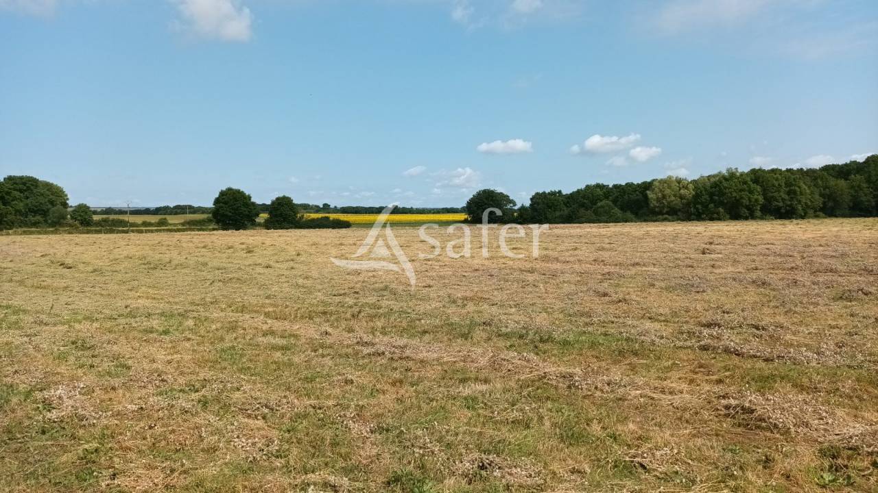 Azienda agricola In vendita Vienne