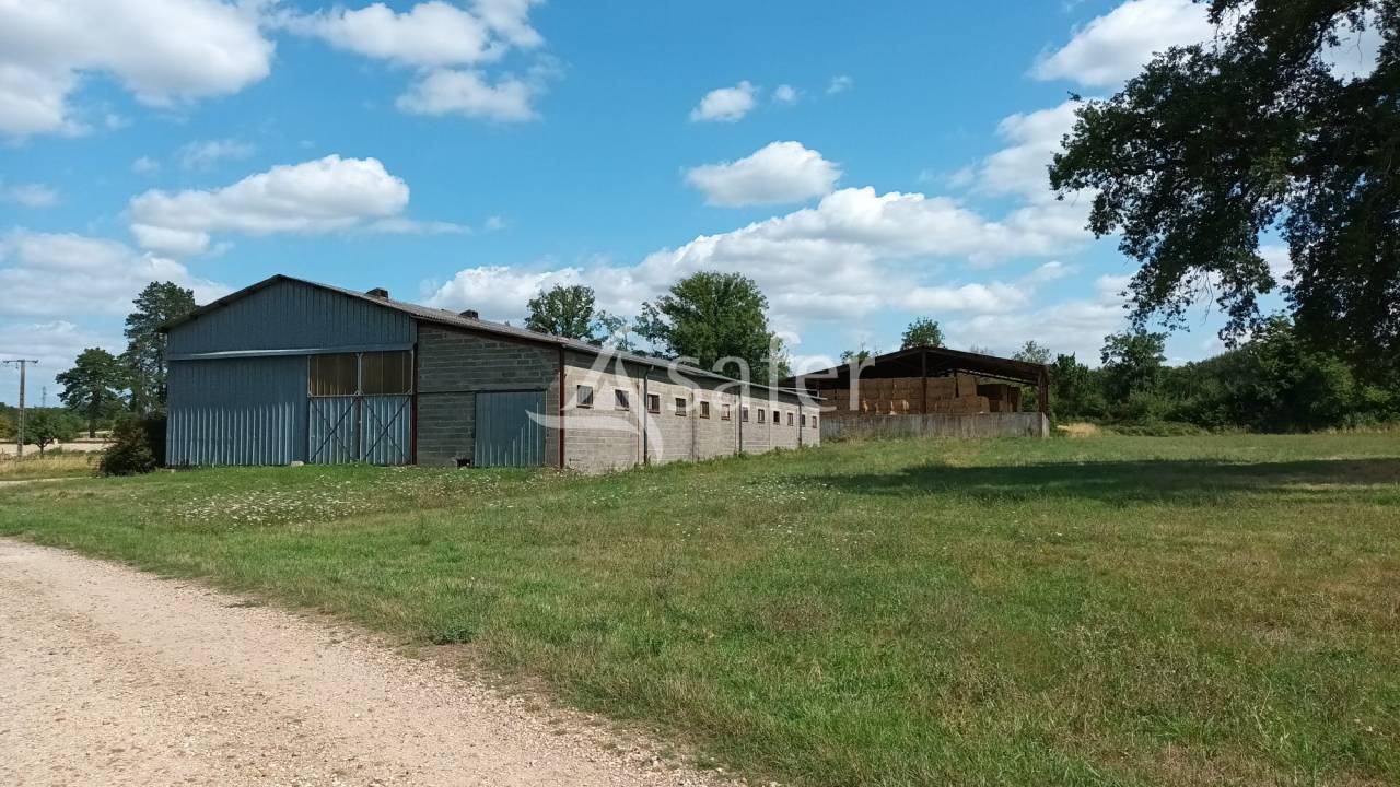Azienda agricola In vendita Vienne