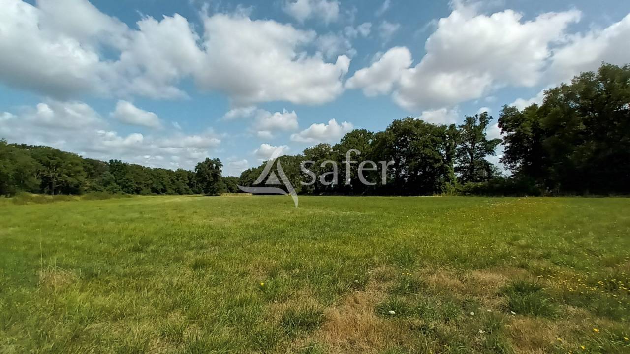 Azienda agricola In vendita Vienne