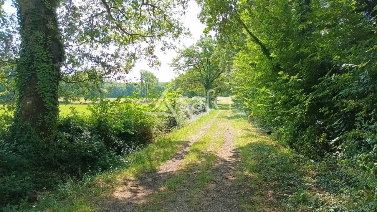 Azienda agricola In vendita Vienne